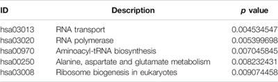 Bcl-2 Associated Athanogene 2 (BAG2) is Associated With Progression and Prognosis of Hepatocellular Carcinoma: A Bioinformatics-Based Analysis